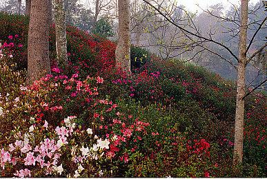 KK对战平台鏖战金秋活动上线，集月亮石解锁丰厚好礼！